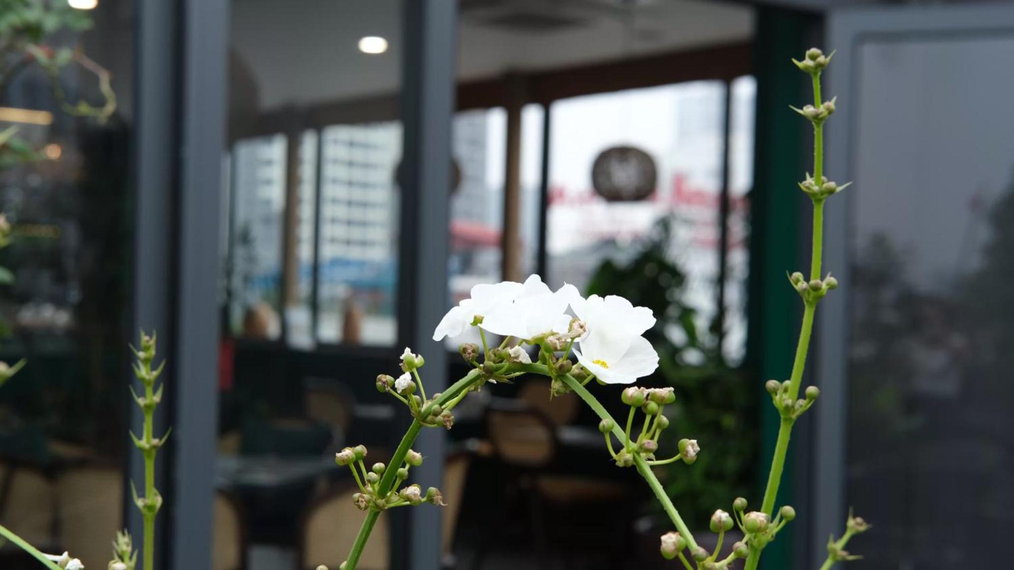 The Bloom Hanoi - Bespoke Living Exterior photo